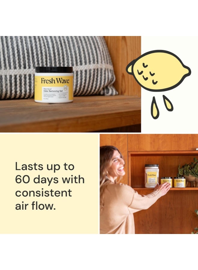 Fresh Wave Lemon Odor Eliminating Gel 425G