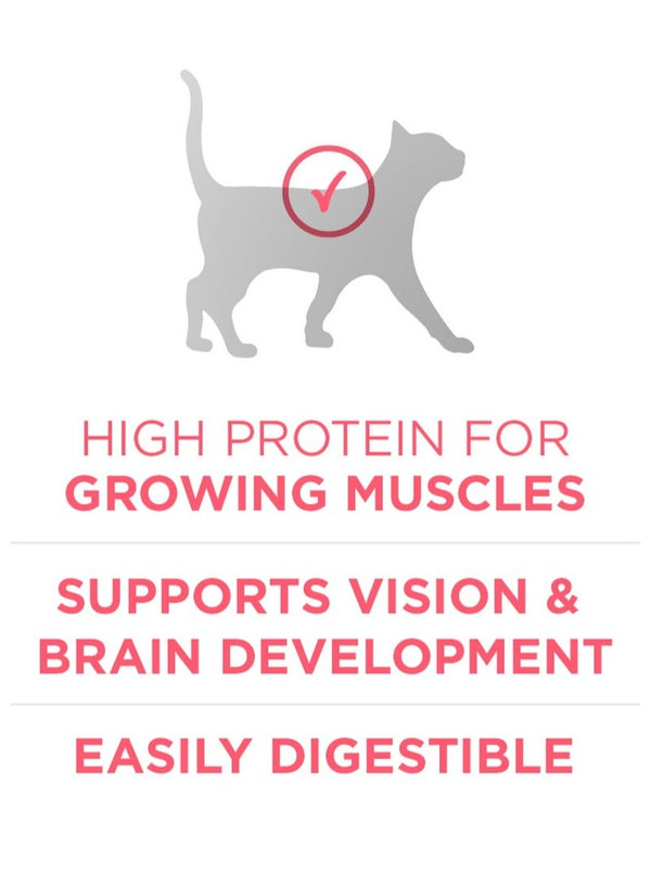 Purina ONE Healthy Kitten Cat Food 380 G