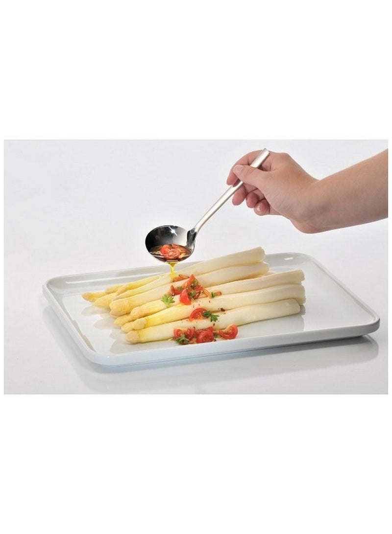 WMF Nuova Sauce Ladle - Premium Serving Tool