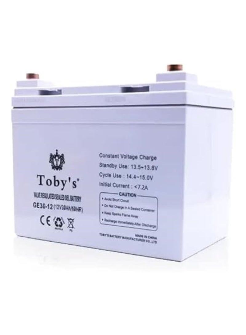 Toby's Power Inverter with Rechargeable Battery