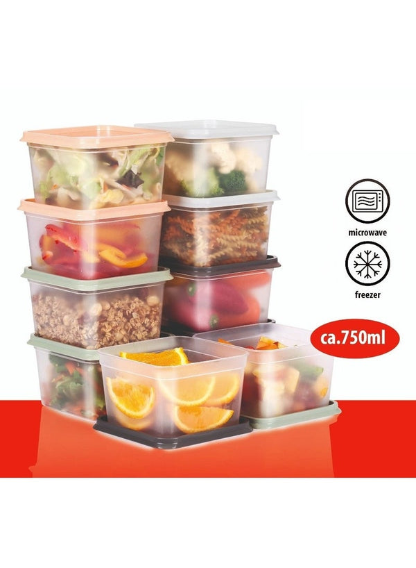 Alpina Food Container Set of 10 Boxes 750 ML