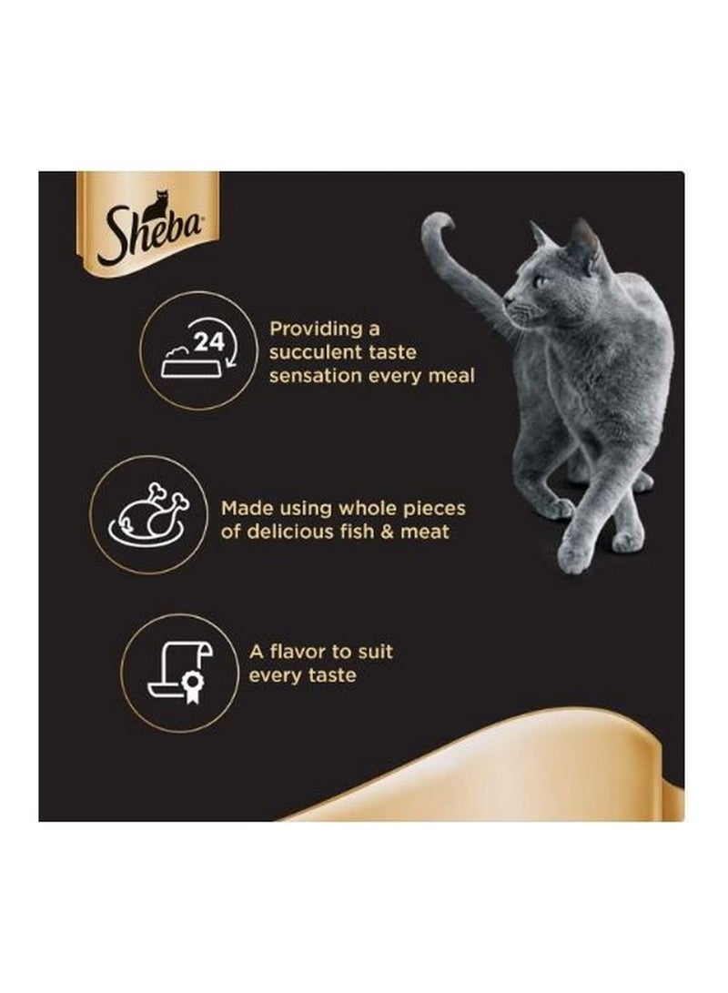 Sheba Tuna and Salmon with Gravy Cat Food