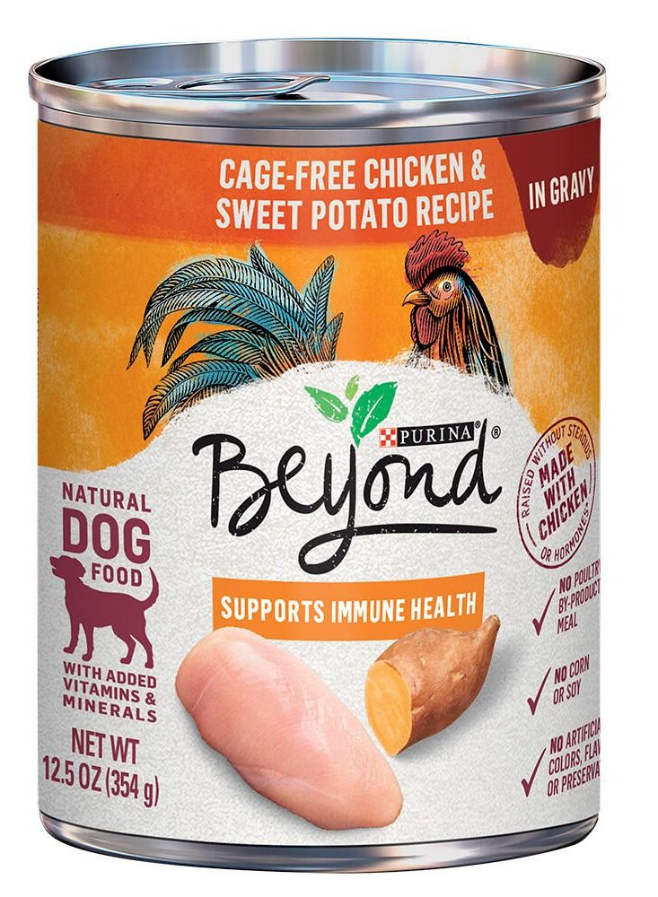 PURINA Beyond Chicken & Sweet Potato Wet Dog Food 354g