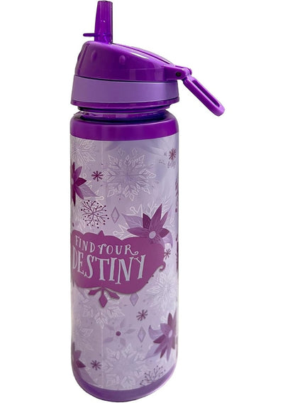 Trucare Disney Frozen Find Your Destiny Water Bottle