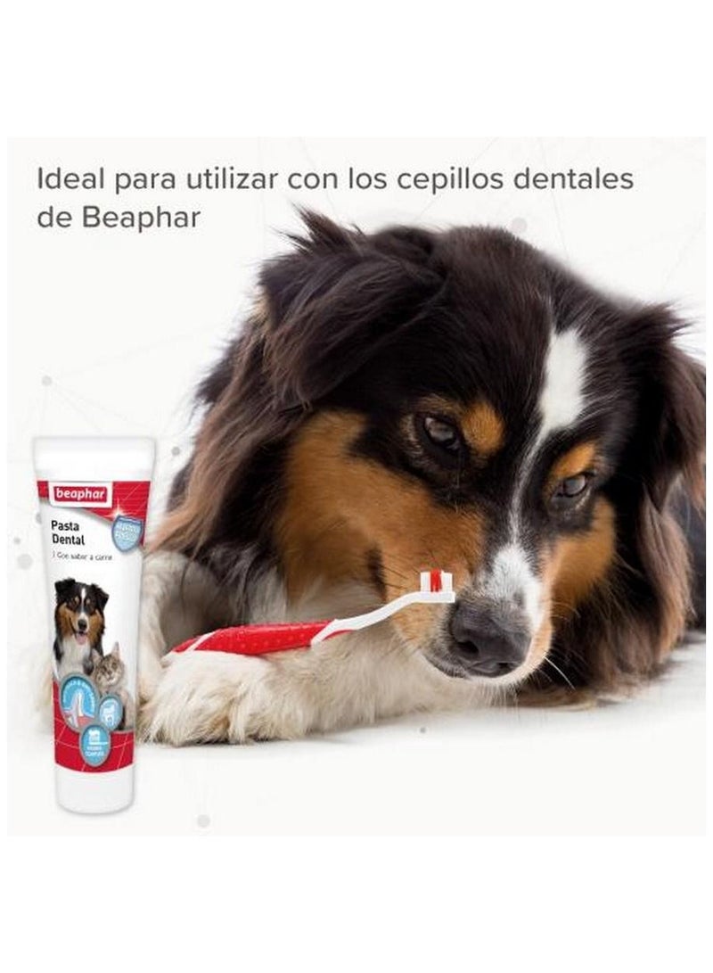 Beaphar Toothpaste for Dogs 100 G