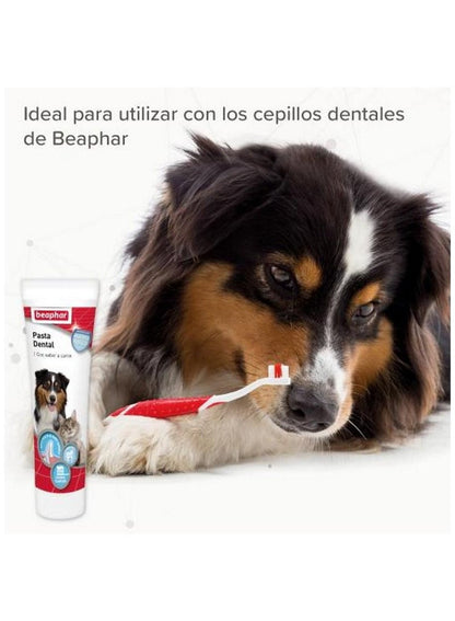 Beaphar Toothpaste for Dogs 100 G