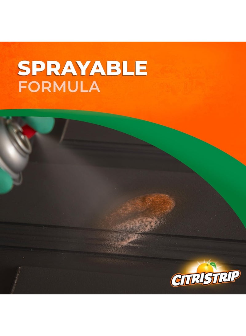 CITRISTRIP Paint & Varnish Remover 482 G