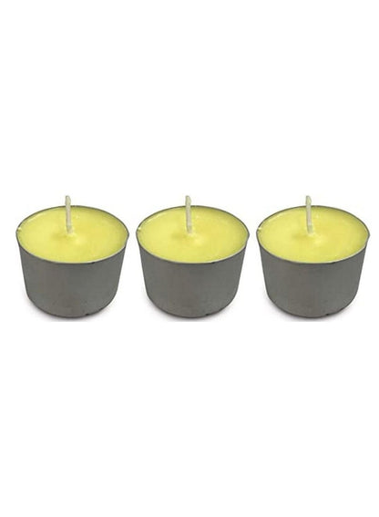 All-Natural Citronella Burner - JT Eaton