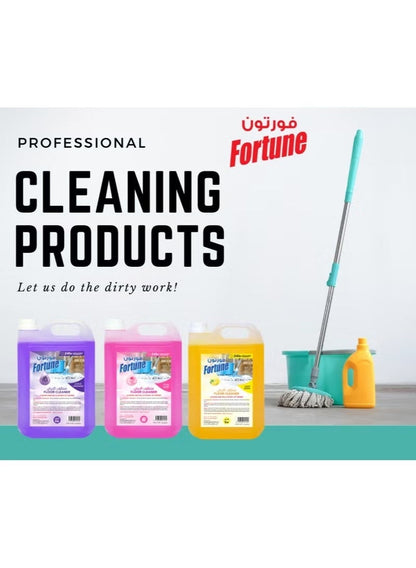 Fortune Antibacterial Floor Cleaner Lavender 3L