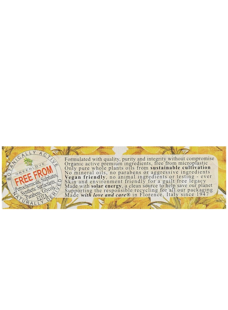 Nesti Dante Broom Triple Milled Soap 250g