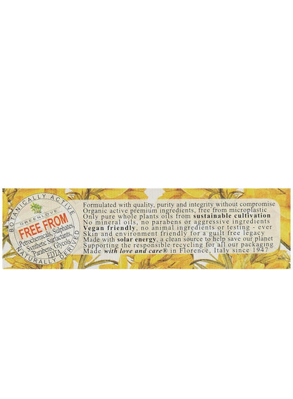 Nesti Dante Broom Triple Milled Soap 250g