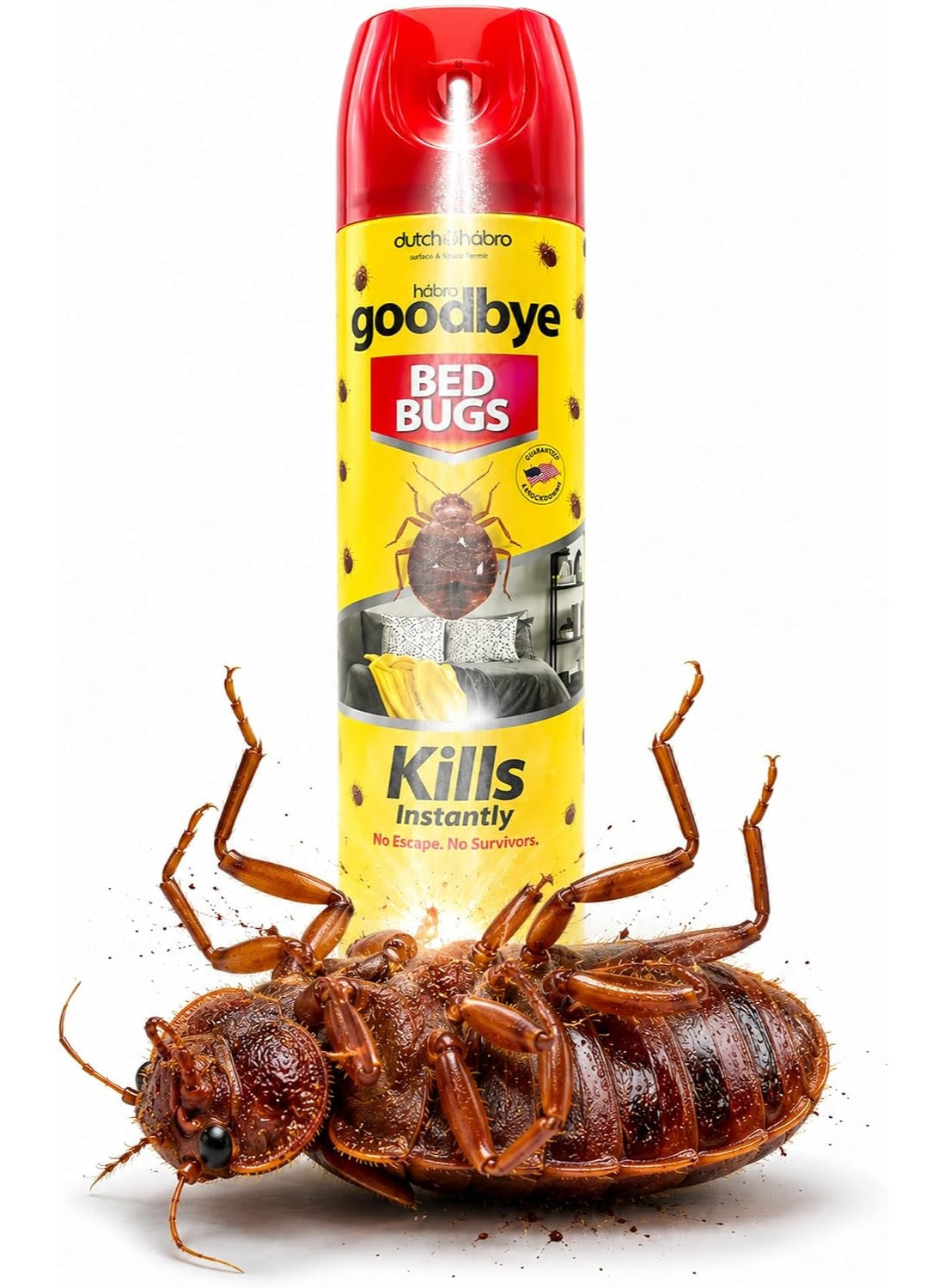 bed bug, bed bugs, bug eggs, bugs may, cool dry, dutch & habro, goodbye bed, goodbye bed bugs, habro goodbye, habro goodbye bed, home key, insects killer, insects killer spray, kill bed, killer spray