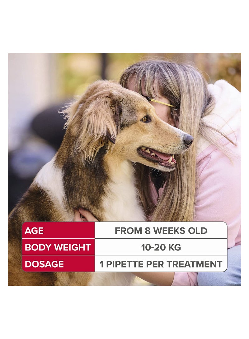 Beaphar Fiprotec Spot-On for Medium Dog