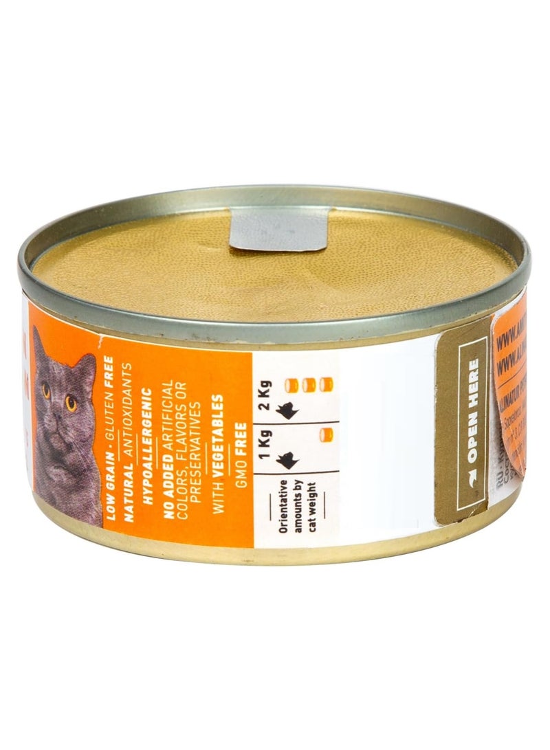 Amity Chicken & Salmon Adult Wet Food 80g