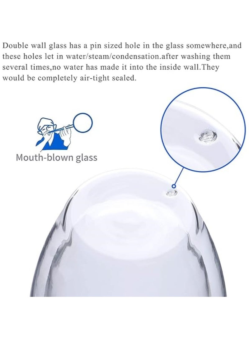 Cuisine Art Double Wall Glass Cup Set - 450Ml