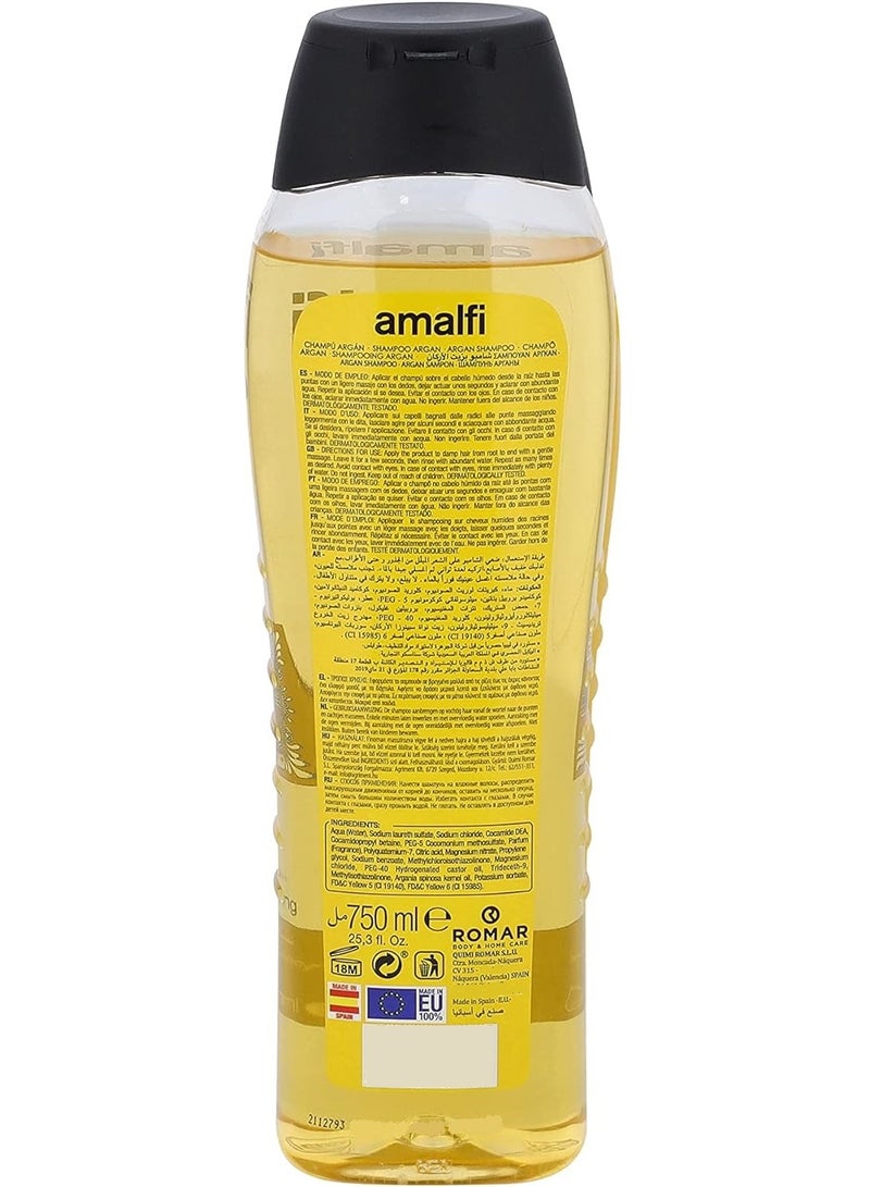 AMALFI Argan Oil Shampoo - Nourish Your Hair