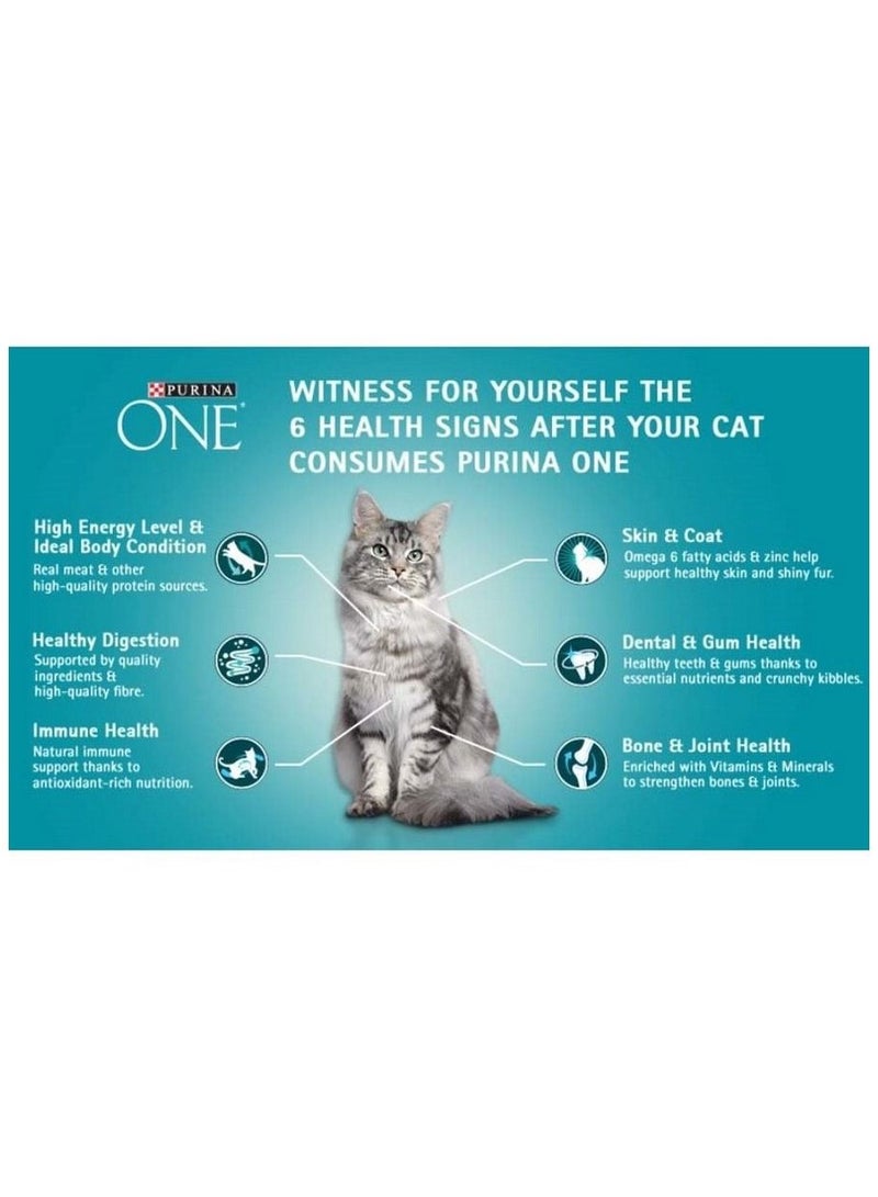 PURINA One Healthy Adult Cat Food with Salmon & Tuna
