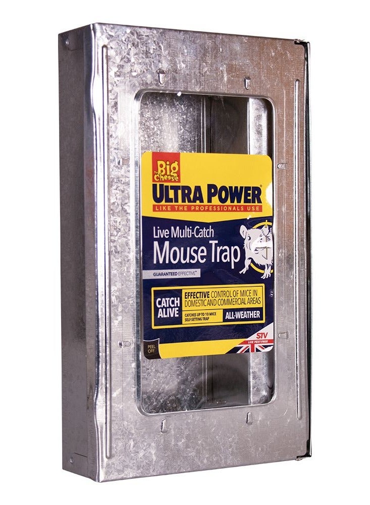 Big Cheese Live Multicatch Mouse Trap